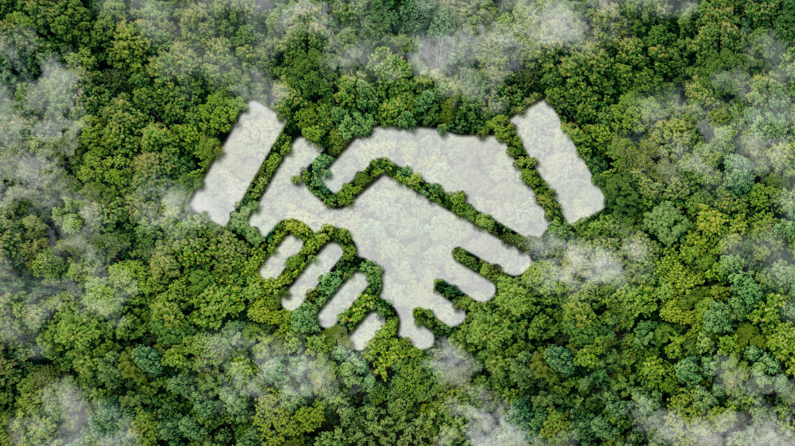 Image of two hands shaking in woodlands showing a sustainable supply chain