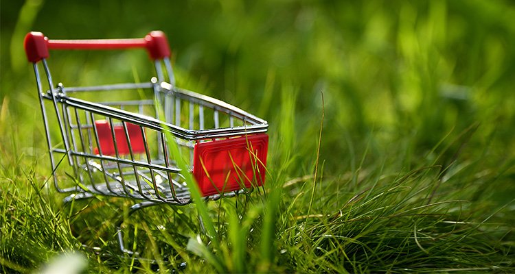 Small shopping trolley on green grass.