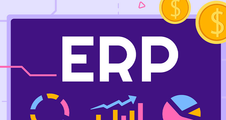 Enterprise Resource Planning System Illustration