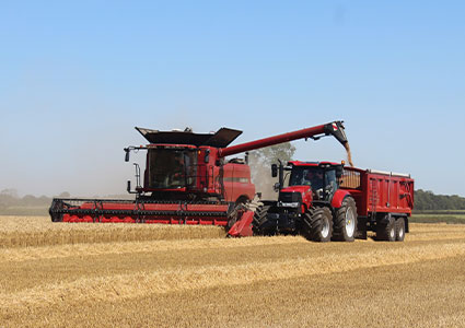 Red combine harvester & tractor harvesting grain