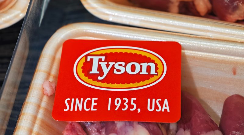 Cattle herd in drought-affected US farmland highlighting supply shortages impacting Tyson Foods