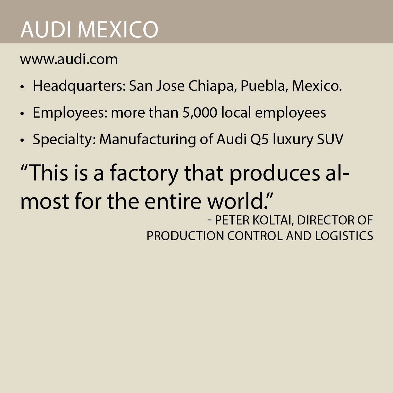Audi Mexico fact box
