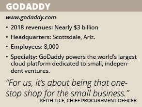 GoDaddy info box